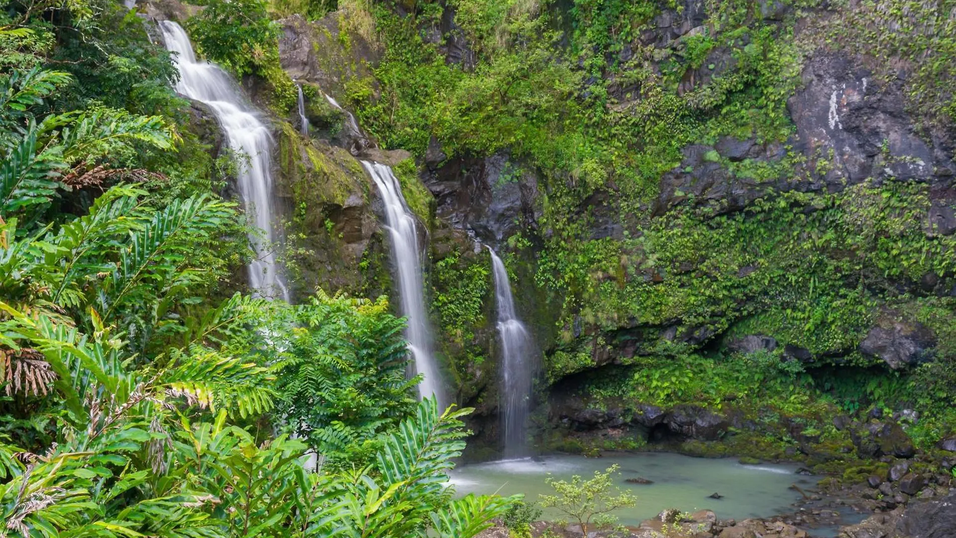 233 Market Street Unit A Villa Wailuku 0*,  United States